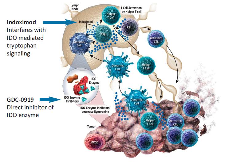 494949最快奖结果今晚