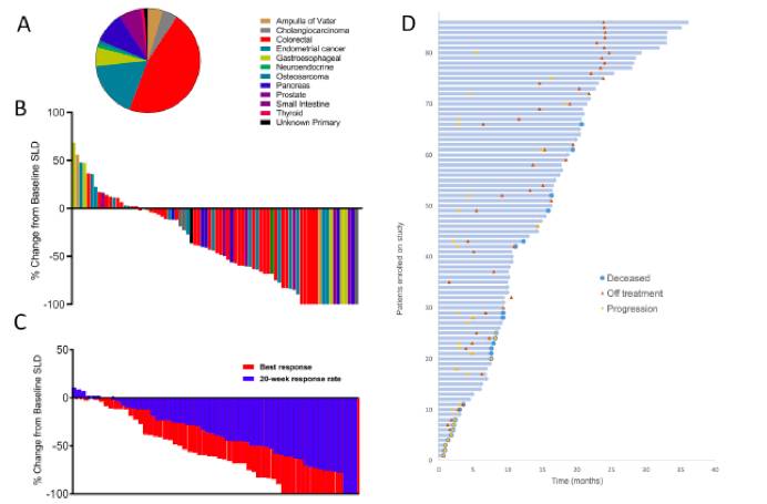 494949最快奖结果今晚