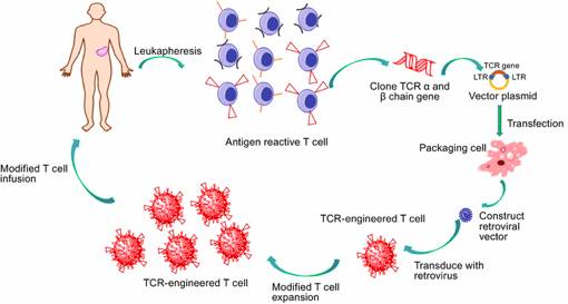 494949最快奖结果今晚